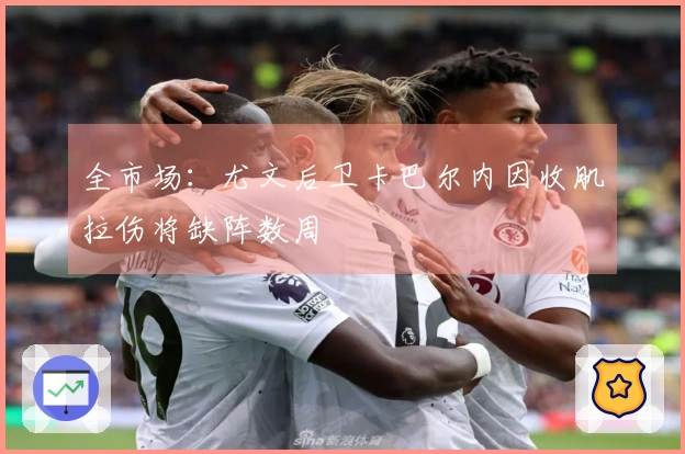 全市场：尤文后卫卡巴尔内因收肌拉伤将缺阵数周