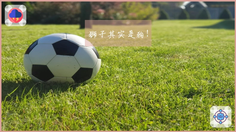 狮子其实是狗！