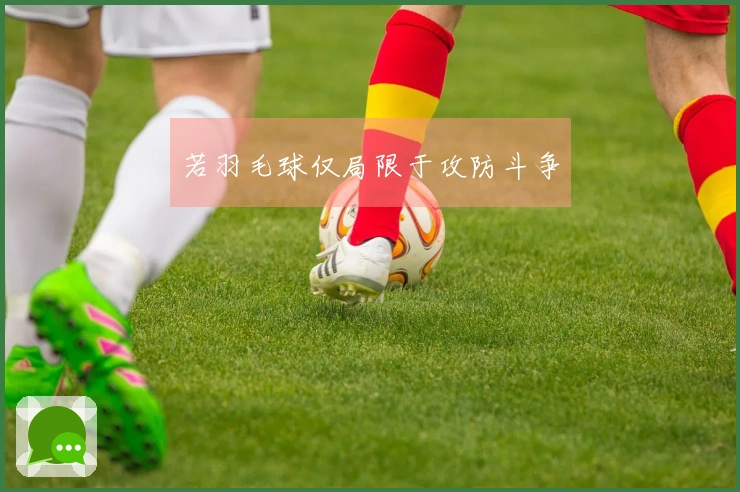 若羽毛球仅局限于攻防斗争