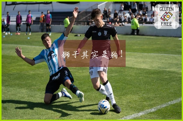 狮子其实是狗！