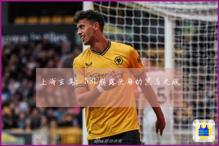 上海玄鸟：NBL崭露头角的黑马之旅