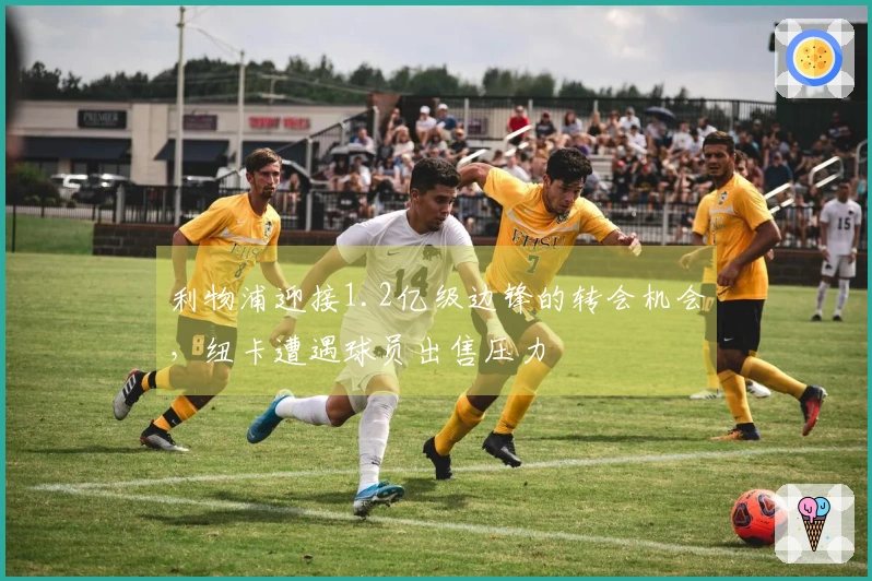 利物浦迎接1.2亿级边锋的转会机会，纽卡遭遇球员出售压力