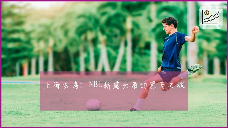 上海玄鸟：NBL崭露头角的黑马之旅