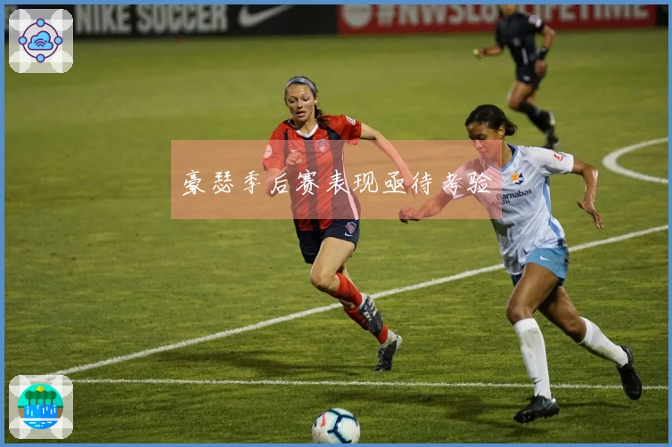 豪瑟季后赛表现亟待考验